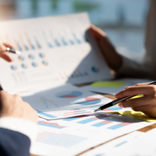 Yönetici Seviyeleri Pazar Araştırması